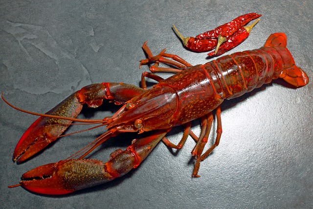 Can You Safely Eat Raw Lobster