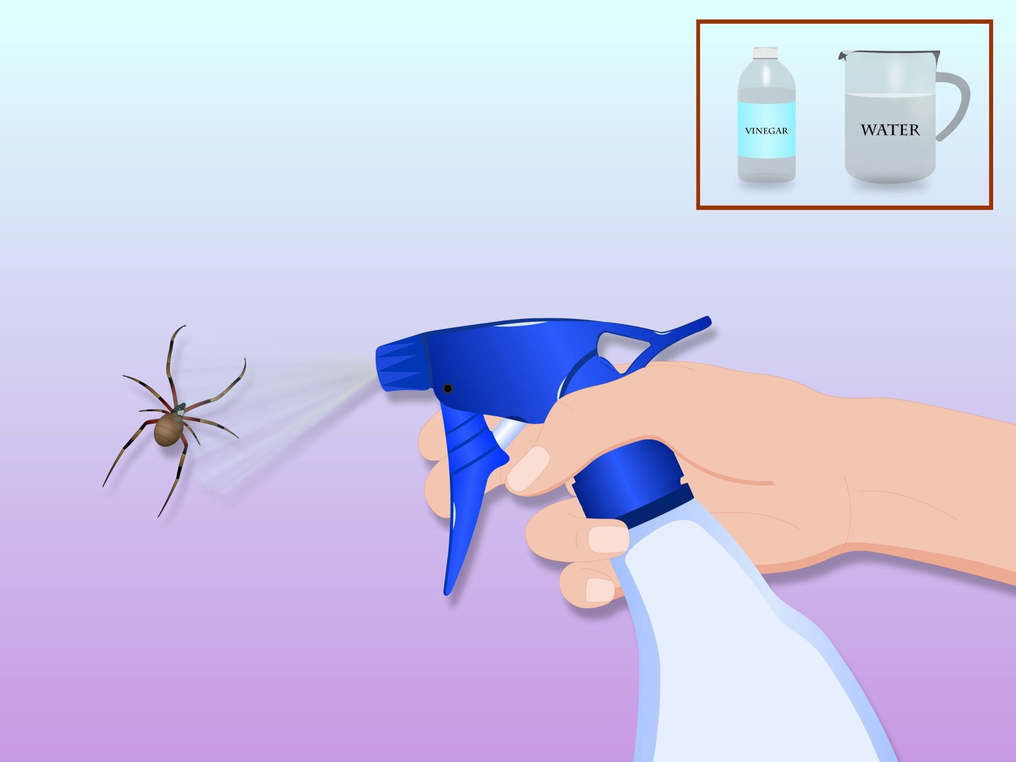 Does Fly Spray Kill Spiders UK? Exploring Spider Control Methods 360Mag