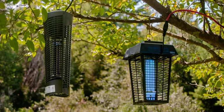 What Light Kills Flies? Zapping the Buzz