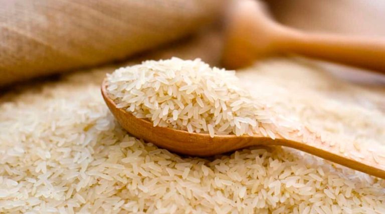 Calories in 100g Uncooked Rice