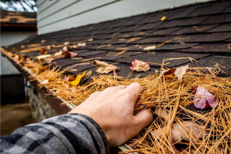 Gutter Maintenance Myths Debunked