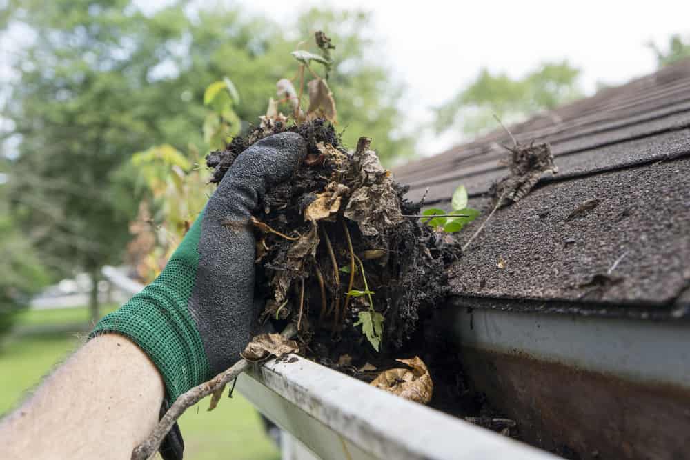 Gutters Only Need Cleaning Once a Year