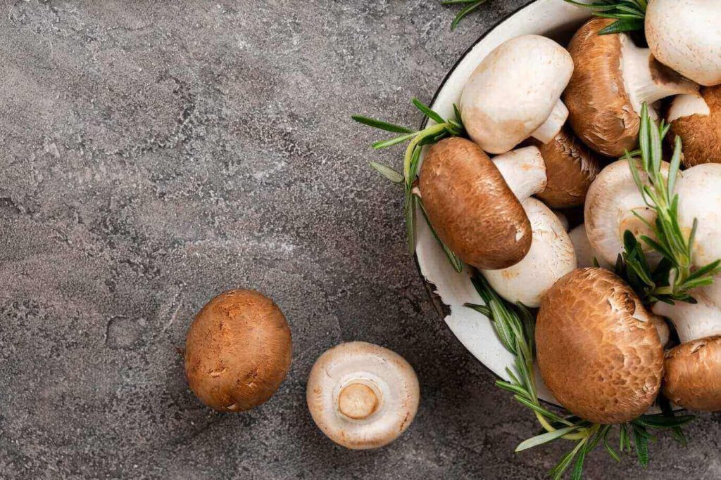 How do Portabella mushrooms contribute to bloating and gas