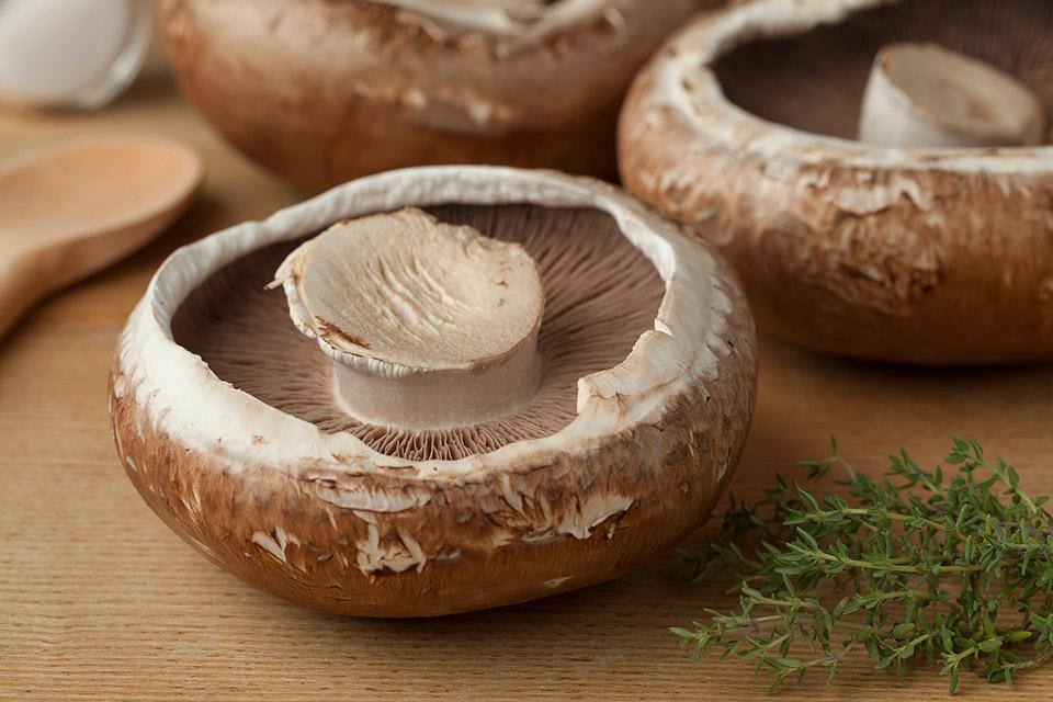 Are there allergens in Portabella mushrooms, and what reactions might occur