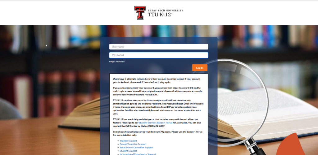 What is the Importance of TTU Email