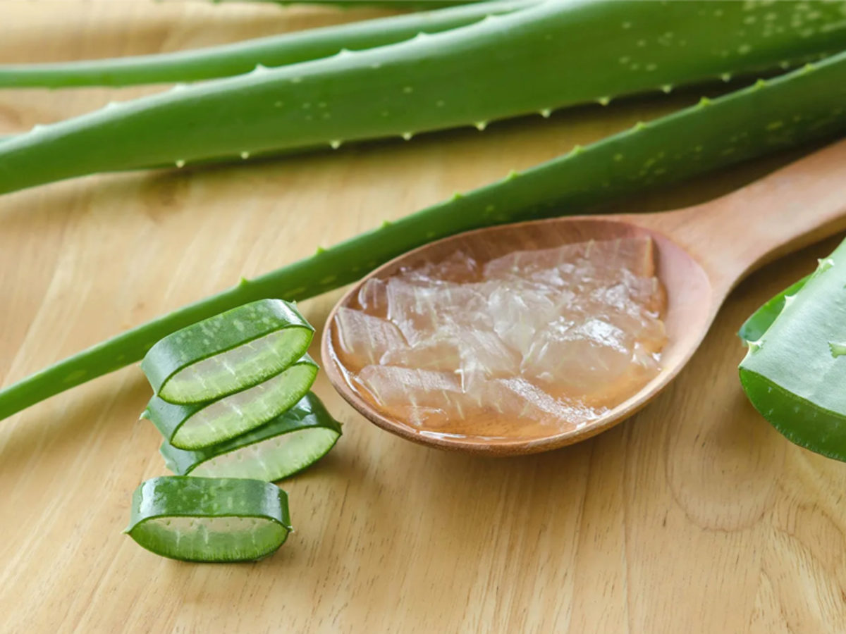 What Does Aloe Vera Taste Like? Taste Explained 360Mag