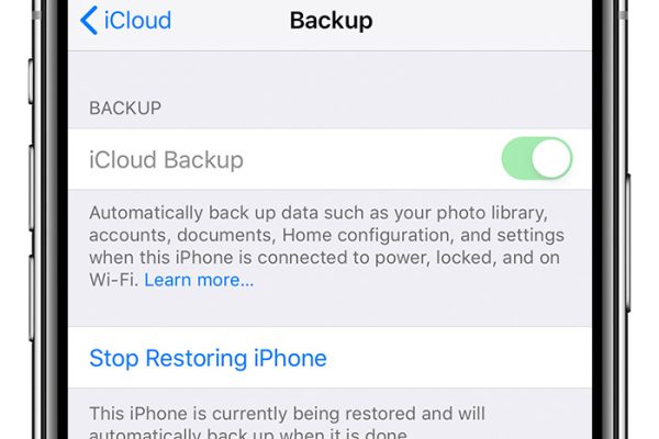 What Does Restore from iCloud Mean