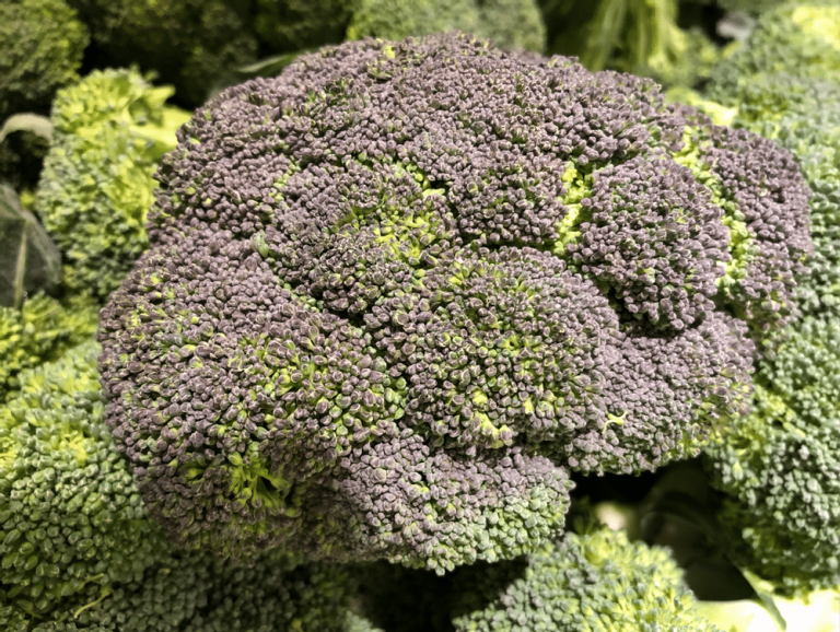 What Happens If You Eat Bad Broccoli