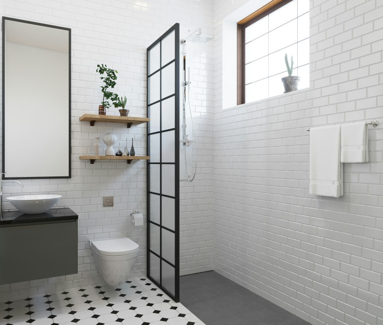 Create Your Dream Shower with Shower Riser Kits and Modern Enclosures