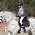 The Art of Saddling: How to Properly Fit a Saddle on Your Horse
