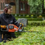 Essential Tools for Hedge Trimming: What You Need for the Perfect Trim