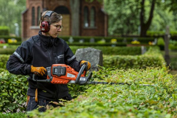 Essential Tools for Hedge Trimming: What You Need for the Perfect Trim