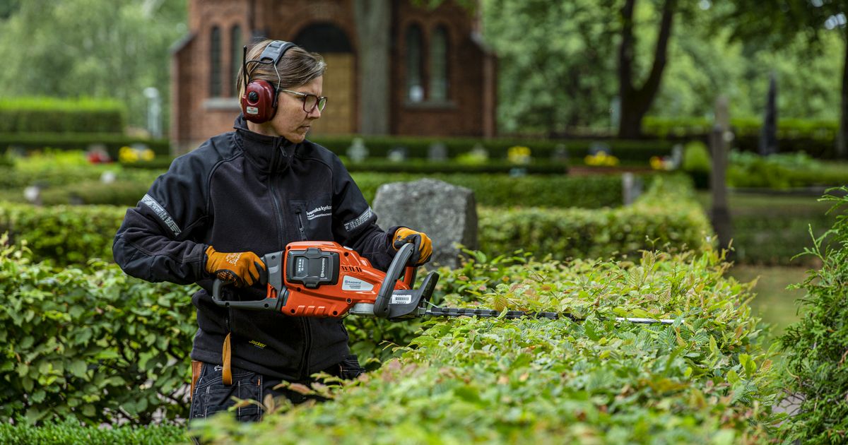 Essential Tools for Hedge Trimming: What You Need for the Perfect Trim
