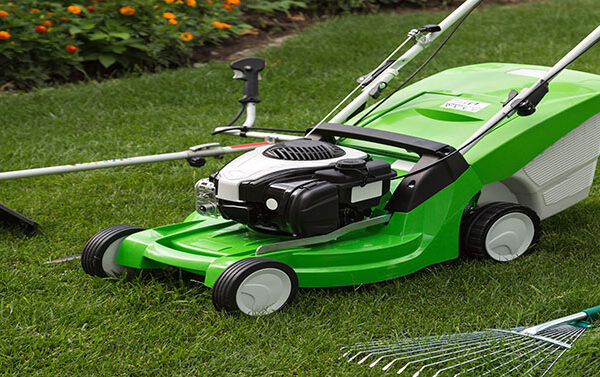How Petrol Lawnmowers Work: The Engine Behind the Garden Powerhouse How Petrol Lawnmowers Work: The Engine Behind the Garden Powerhouse