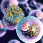 Translating Complex Science into Visual Insight