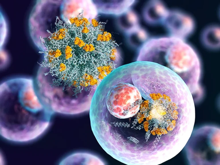 Translating Complex Science into Visual Insight: Scientific Illustrations & Animations
