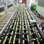 Improving hygiene protocols in food processing facilities