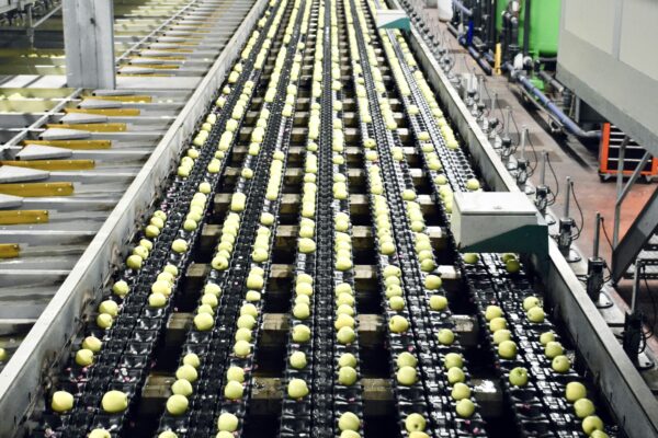 Improving hygiene protocols in food processing facilities
