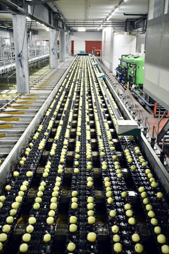 Improving hygiene protocols in food processing facilities