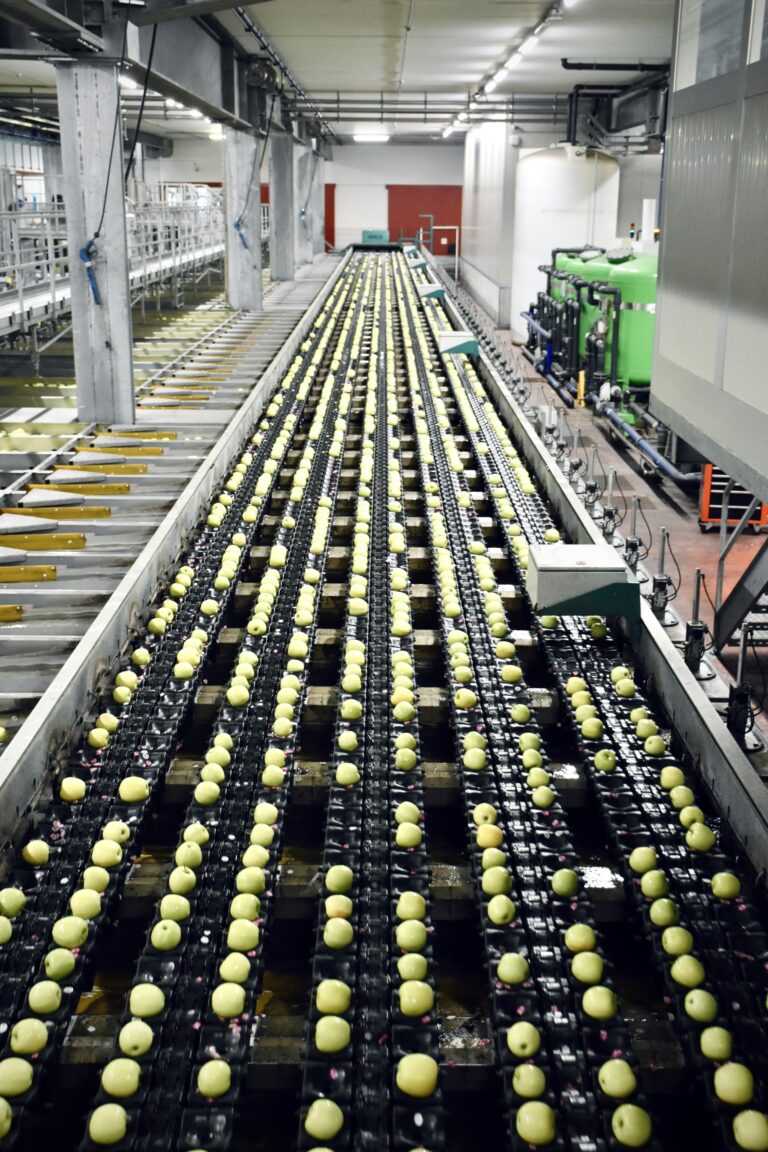 Improving hygiene protocols in food processing facilities