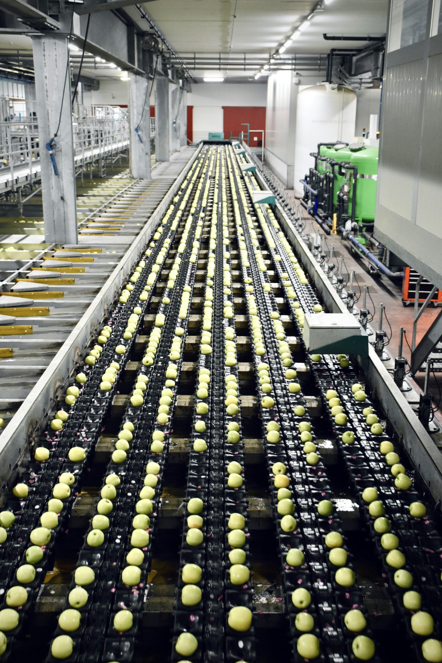 Improving hygiene protocols in food processing facilities
