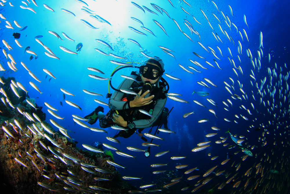Awaken Your Senses: An Immersive Diving Journey into the Heart of Marsa Alam
